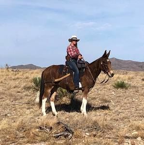 Meet your Posher, Florence